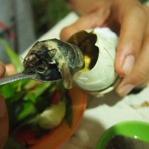 Beyond the Plate: Uncovering the Unborn Duck Delicacy of Cambodia